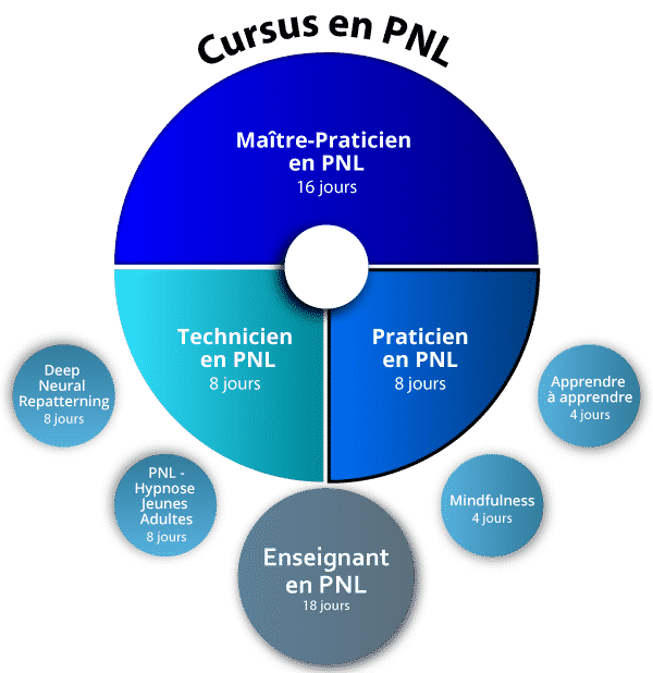 organigramme-PNL-praticien